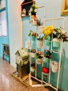 Top Green Island Top Green Island