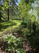 Top Hrádek Top Hrádek