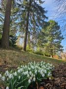 Top Hrádek Top Hrádek