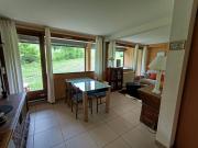 Appartement spacieux en rez de jardin, accès direct aux pistes, animaux admis - FR-1-445-10