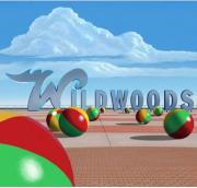 Top Wildwood