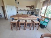 Happy Tuscany Happy Tuscany