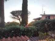 Top Zolforata