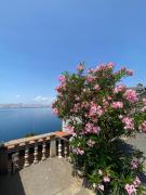 Top Senj