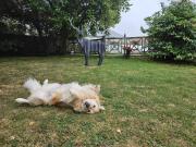 Le Grand Cèdre Spa et sauna intérieur piscine