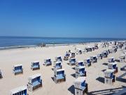 Top Westerland (Sylt)