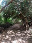 ENRAMADA Hospedaje en San Marcos Sierras