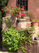 Top Alberese Top Alberese