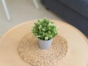 Top Las Palmas de Gran Canaria