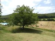 Top Lugnano in Teverina Top Lugnano in Teverina