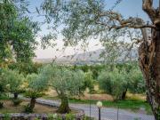 Villa near Lucca with Vineyard Views