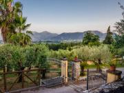 Villa near Lucca with Vineyard Views