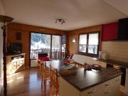 Appartement lumineux 64m², 6 personnes, vue sur montagnes - FR-1-458-230