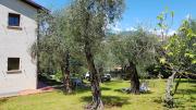 Top Malcesine