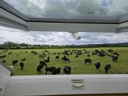 Lovely Laois Loft Apartment