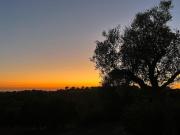 Top Santiago do Cacém Top Santiago do Cacém