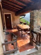 Top Avenone