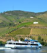 Top Torre de Moncorvo