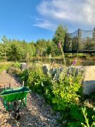 Top Järvsö Top Järvsö