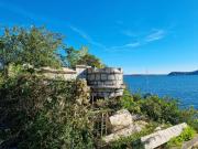 Il Grifo Guest House