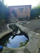 Top Santiago de los Caballeros