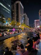 Dreaming Hostel Sinchon Hongdae