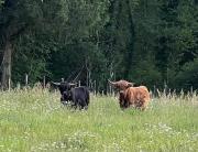 Top Saint-Julien-le-Petit