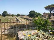 Il Giardino di Athena 1