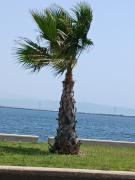 Casa Cristoforo Colombo