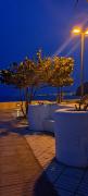 Top Palm-mar