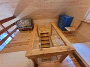 Top Czyże Top Czyże