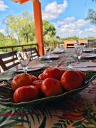 Country House in Coruche