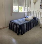 Top Platja de lArenal