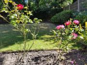 4 bed detached house near Manchester Airport Manchester -Cheadle