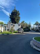 Top Cabo Negro