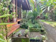 Top Ubud
