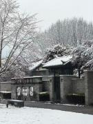Top Lijiang