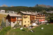 Top Pila