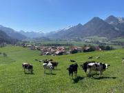 Top Estavannens-Dessous