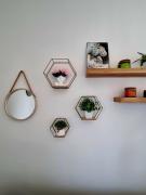 Top Padova Top Padova