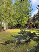 Top Mielno k.Olsztynka