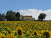 Top Francavilla dʼEte