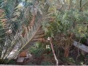 Top San Pedro de Atacama