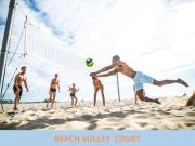 Top Vaccarizzo - Delfino