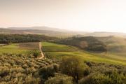 Top Castellina in Chianti