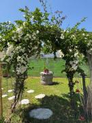 Top San Giovanni Teatino