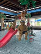 Brand new beachhouse Sand & Meer - Near beach