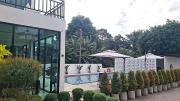 Top Trang