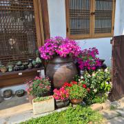 Hanok Story Guesthouse