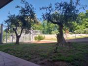 Appartamento 100mq con giardino vista mare